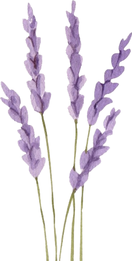 Imagen de fondo del footer