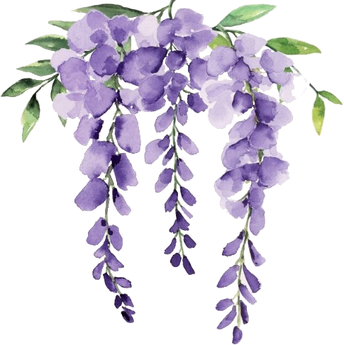 Imagen de fondo del header